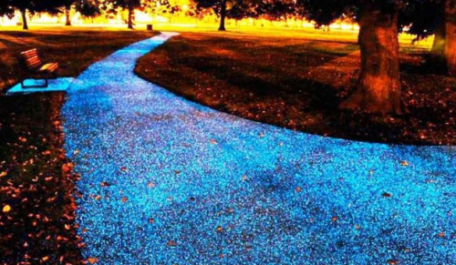 starpath